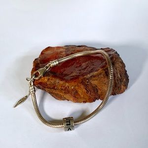 Sterling Silver Snake Charm Chain Bracelet